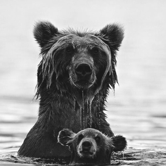 Meet your Posher, Terah - Picture 1 of 1